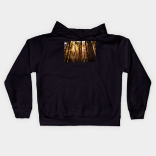 Sunshine shining through redwoods Kids Hoodie